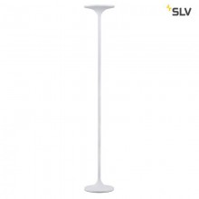 SLV · TONIA · 157011