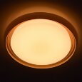 Накладной светильник MW-Light Ривз 7 674011801