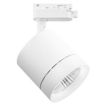 Lightstar · Canno · 301262
