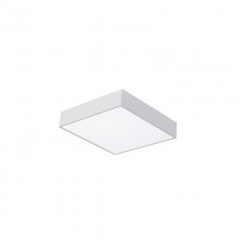 Favourite · Flashled · 2066-24C