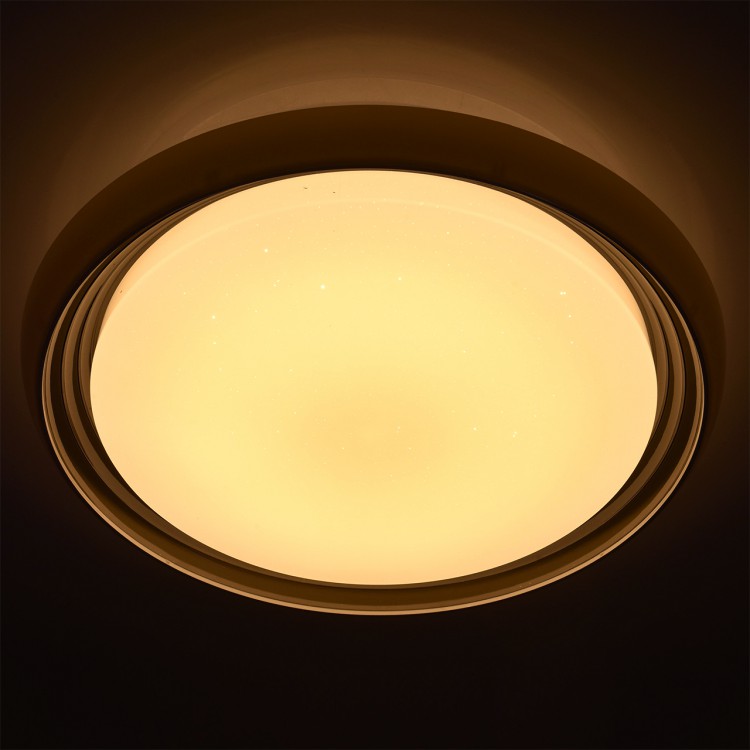  Накладной светильник MW-Light Ривз 7 674011901