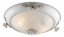 Накладной светильник Odeon Light Bone 2692/2C
