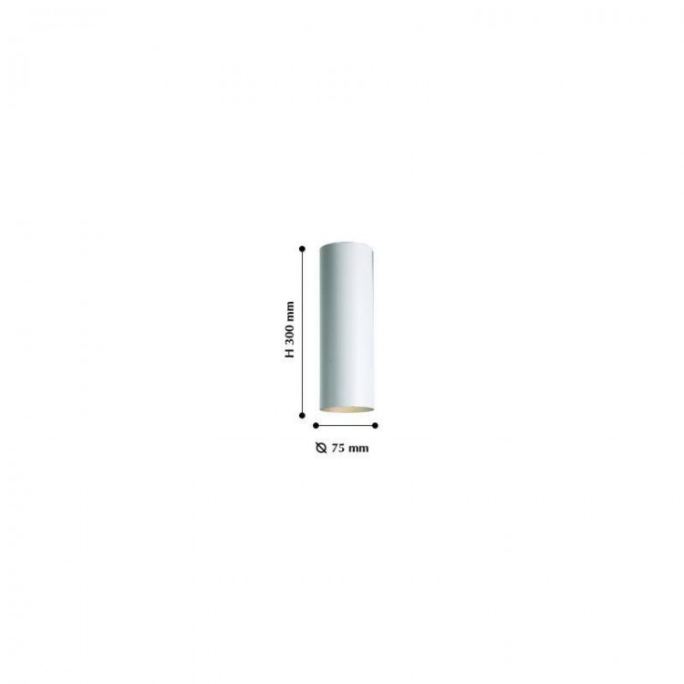  Favourite · Drum · 2248-1U