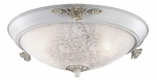 Накладной светильник Odeon Light Bone 2692/3C
