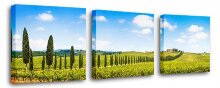 Набор из 3 панно Великая Тоскана Brilliant S-4111H (150 x 50 см)
