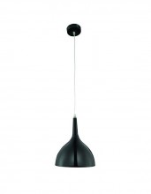 Arte Lamp · Pendants 2 · A9077SP-1BK