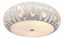 Накладной светильник ST Luce Calma SL793.502.05