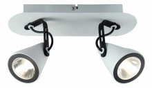 Спот Lussole Loft LSN-4101-02