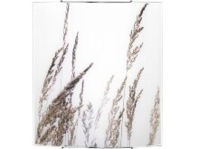 Nowodvorski · Brown grass · 5615