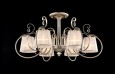 Freya · Simone · FR2020-CL-06-BG