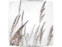 Nowodvorski · Brown grass · 5616