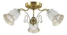 Потолочная люстра Lumion Rakella 3415/3C