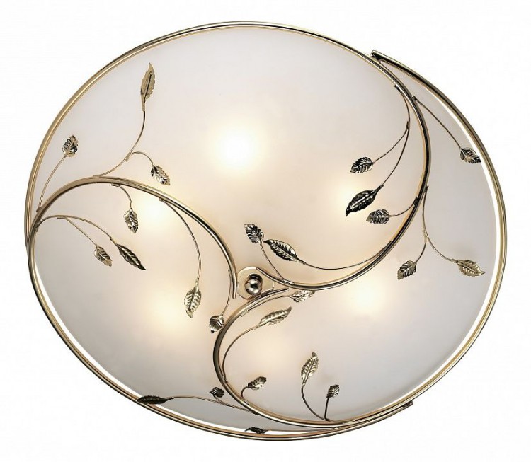  Накладной светильник Odeon Light Regana 2728/6C
