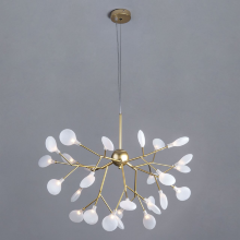 Bogate's · Foglia · 540