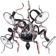 Lightstar · Ricciolo · 894657