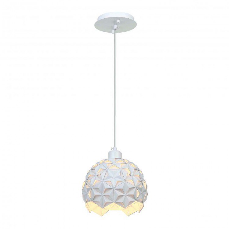  Favourite · Sollicitat · 2502-1P