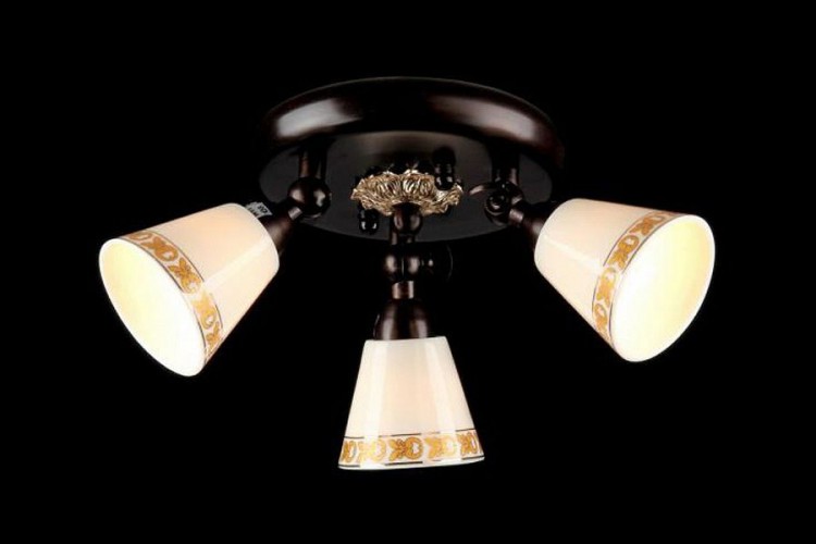 Maytoni · Spot 1 · ECO001-33-R