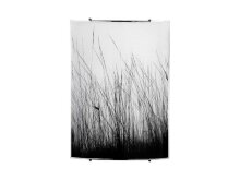 Nowodvorski · Black grass · 5651